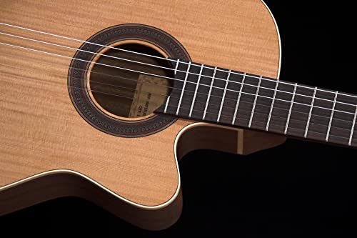 Prodipe Guitare classique à 6 cordes (Égaliseur étudiant). - Les Beatles, Paul McCartney, John Lennon, RIngo Starr, George Harrison Prodipe Guitare classique à 6 cordes (Égaliseur étudiant). – Image 6