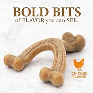 Nylabone gourmet style strong chew wishbone dog chew toy chicken flavor largegiant 1 count   cucciolini doodles