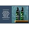New-York-Biology-Tea-Tree-Shampoo-and-Conditioner-Set--Deep-Cleanser--Relief-for-Dandruff-and-Dry-Itchy-Scalp--Therapeutic-Grade-Helps-Promote-Hair-Growth--169-fl-Oz New York Biology Tea Tree Shampoo and Conditioner Set – Deep Cleanser – Relief for Dandruff and Dry Itchy Scalp – Therapeutic Grade - Helps Promote Hair Growth – 16.9 fl Oz