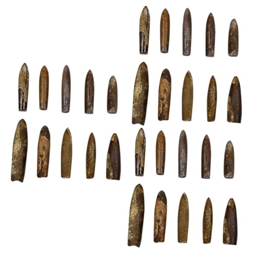 VICASKY 3piezas Especímenes De Belemnites para Enseñanza De Paleontología y Decoración De Escritorio