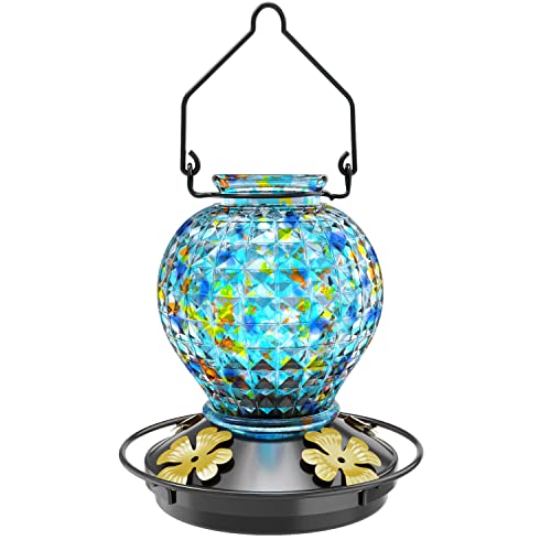 Are Hummingbird Feeders Dishwasher Safe? A Comprehensive Guide to