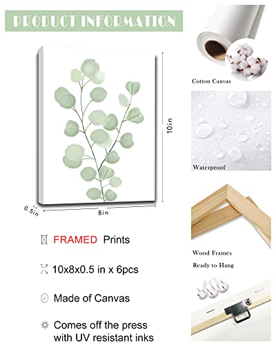 Botanical Eucalyptus Canvas Framed Wall Art | Boho Plant Wall Decor For Bedroom | Light Green Botanical Art Painting For Bathroom | Eucalyptus Leaf Picture | Set Of 12 | 8”X 10” #TOP1
