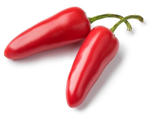 Early Jalapeno Pepper Seeds for Planting, Capsicum annuum, 150+ Seeds,