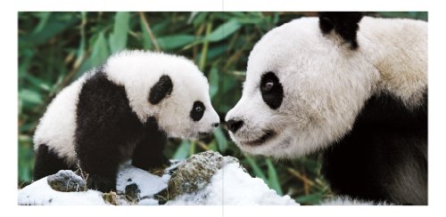 動物たちの惑星