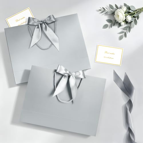 Image of JMANNI Gift Bags with Handles, 13 inch Medium Gift Bag for Presents,4 Pcs Bags with 8 Tissue Paper and 4 Cards for Graduation Baby Shower Wedding Fathers Day Mother's Day Birthday Party(Silver)
