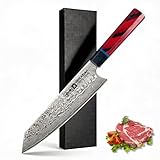 Neckarian Kiritsuke Damastmesser Kochmesser 8 Zoll – 67 Lagen Damast Profi Küchenmesser, VG10 Kern (Japanischer Premiumstahl), Handgefertigt, Ultra Scharf