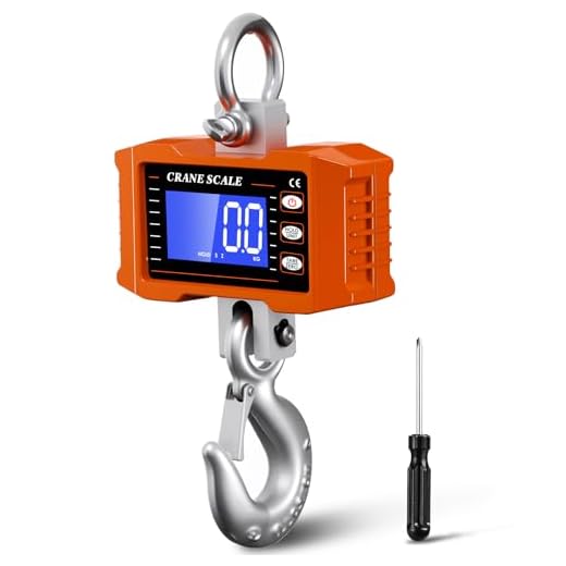 Ofeace Digital Crane Hanging Scale