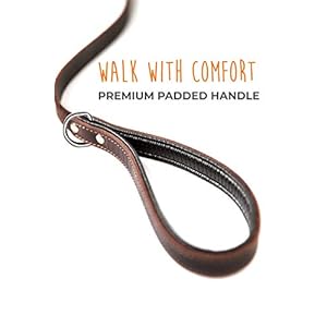 Mighty paw leather dog leash for large dogs  soft padded handle  extra d ring for waste bags  strong climbers clip  6 ft leash leather  leather dog leashes for large dogs  leather lead  brown   cucciolini doodles
