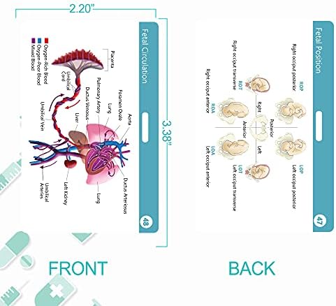 Nursing Badge Reference Cards - New 2021｜Nursing Cheat Sheets, 47 Waterproof Nurse Reference Cards (Include Pharmacology, Respiratory, EKG, OB/L&D, Pediatrics, Endocrine, Neurology etc)