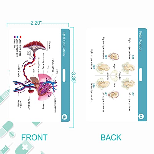 Nursing Badge Reference Cards - New 2021|Nursing Cheat Sheets, 47 Waterproof Nurse Reference Cards (Include Pharmacology, Respiratory, EKG, OB/L&D, Pediatrics, Endocrine, Neurology etc)