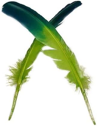 ZUCKER Two Tone Ombré Tipped Turkey Quill Feathers 10-12” 2 PC Feathers for Carnival, Dyed Feathers for DIY - Dark Turquoise/Lime