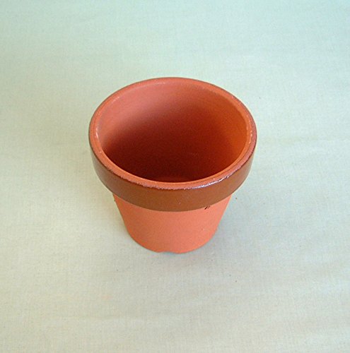 Amazon.co.jp: 駄温鉢 駄鉢 深型 (11号) *国産植木鉢* 常滑