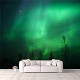3D Wallpaper Glowing Northern Lights Over Tree Silhouettes Self Adhesive Bedroom Living Room Dormitory Decor Wall Mural Stick and Peel Background Wall Ceiling Wardrobe Sticker