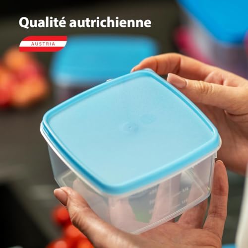MiraHome Gefrierdosen Set 15x0,125L Rechteckig Durchsichtig Blau – Perfekt in der Küche zur Aufbewahrung & Organisation für Lebensmittel – Vorratsdosen mit Deckel Luftdicht – Austrian Quality