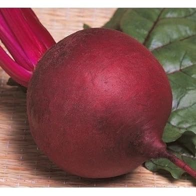 Sementes De Beterraba Early Wonder 100 Gr Topseed