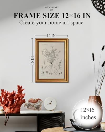 Image of HUARCEY Gold Framed Vintage Wall Art for Living Room, Flowers Painting Prints Shelf Decor for Kitchen, Aesthetic Bedroom Wall Art, Best Gifts for Friends or Family - Veronica biloba 16L x 12W
