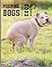 Produktbild Pooping Dogs Calendar 2022: Funny Pooches Answering Nature's Call For Dog Lovers | Funny Party Gag Gifts for Men, Women, Teens, Kids, Office ... Stuffers, White Elephant, Secret Santa