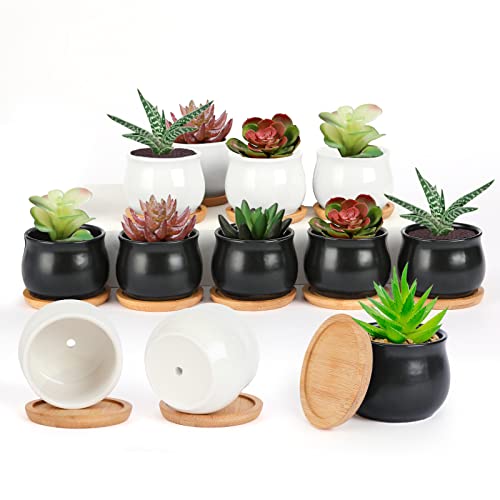 SHECIPIN 12 pots plante grasse céramique 2.6 po bambou