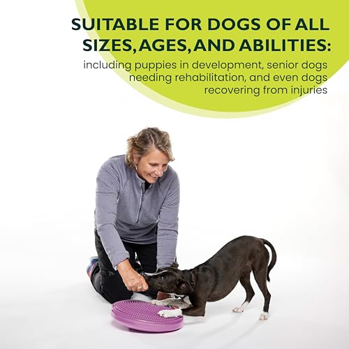 Fitpaws Balance-Disc für Hunde, 14', Violett