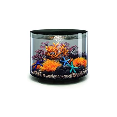 biOrb TUBE 35 LED Aquarium, 35 Liter - Aquarien Komplett-Set mit LED Beleuchtung und patentiertem Filter-System, Acryl-Becken in Schwarz Cover