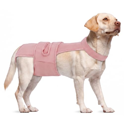 Image of Dog Diapers Female Reusable Washable Period Diaper with Suspender,Adjustable Dog Panties Anti-Harassment, Doggie Diapers for Incontinence, Heat Cycles, or Senior Dogs（XS-XL）