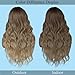 HMHIFI Long Ombre Blonde Wigs for Women 26 inch Long Wavy Middle Part Wig Ombre Blonde Wigs Upgraded Protein Fiber Hair Replacement Wig Cosplay Costume Halloween Wig(26'' Brown Ombre Blonde)