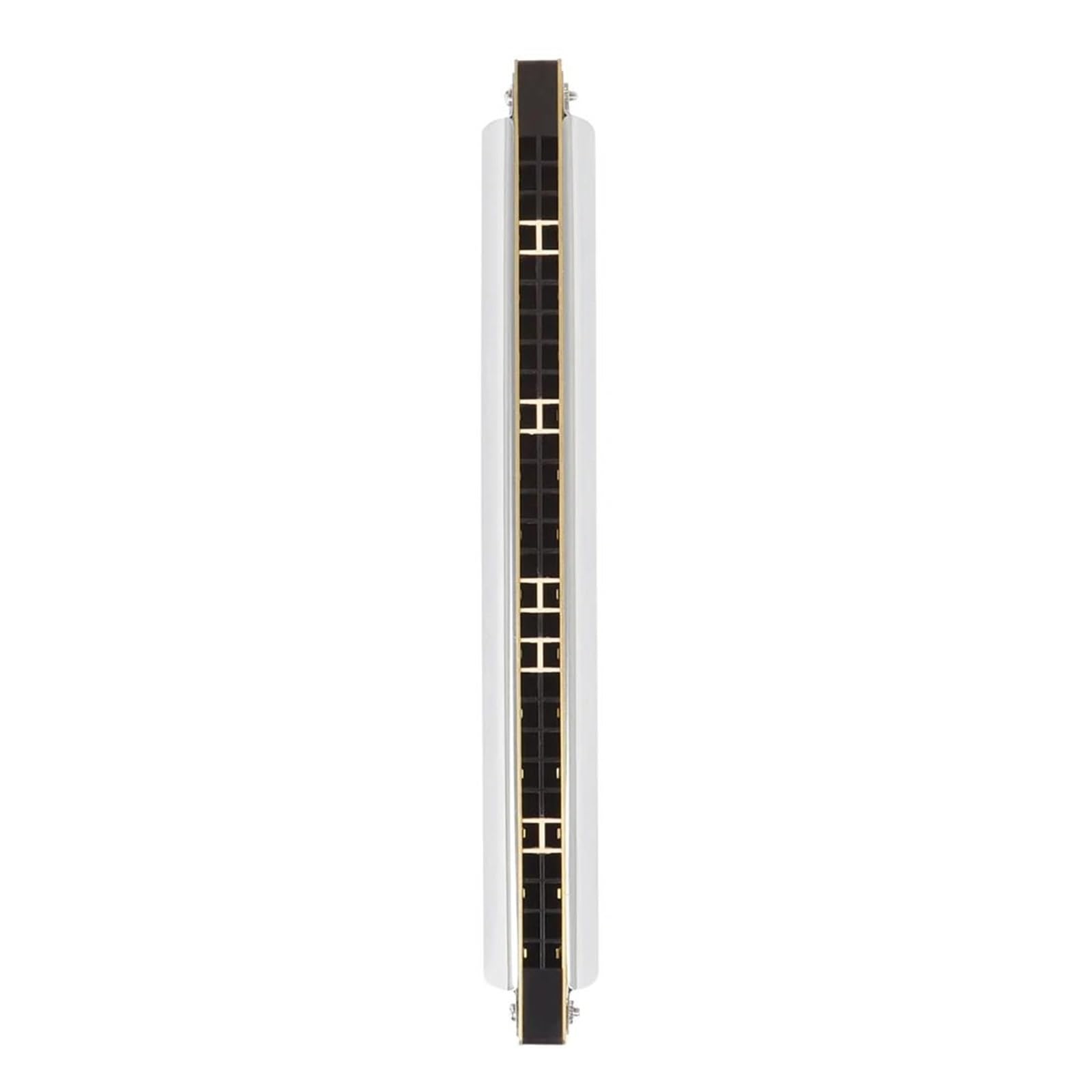 Armonica Armonica A Bocca Portatile Professionale Polifonica A 28 Fori Con Chiave In Do Strumento A Fiato In Metallo Semplice