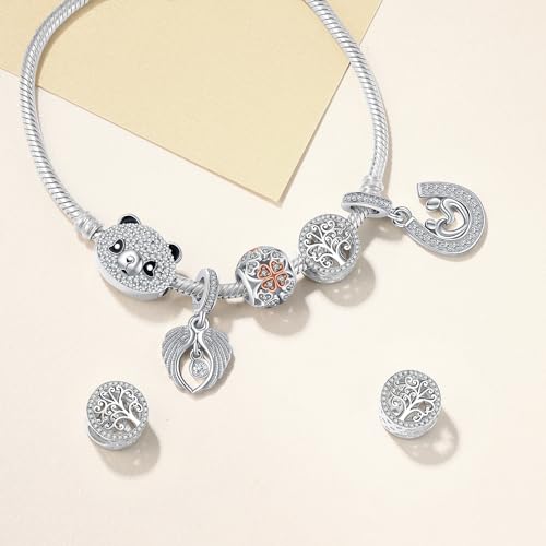 Charm de plata de ley 925 compatible con pulsera Pandora para mujer 2
