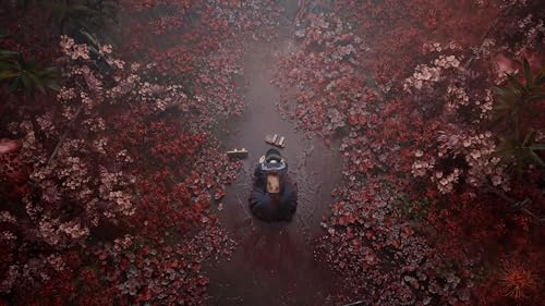 Silent Hill f PS5 - vue 9