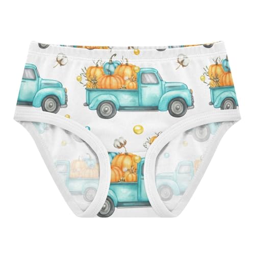 Girls Underwear Toddlers 2t Cotton Little Girl Panties Stylish Briefs Underpants Vintage Trucks Pumpkins White