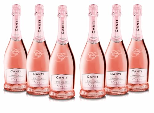 Canti - Prosecco D.O.C. Rose Millesimato Sparkling Extra Dry Wine Italian Glera and Pinot Noir Grape Varieties from Veneto Fresh and Sweet Taste 6x750 ml