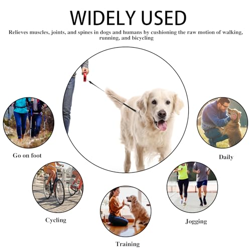 Hundeleine Ruckdämpfer,Elastisch Hund klein Bungee Leinenverlängerung,Leine für Jede Hundeleine,Elastische Einstellbar Hundetrainingsleine Leine für Mittelgroße und Große Hunde Schwarz
