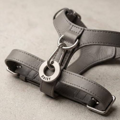 UKR Designs Identifikationsmarke für Hunde/Haustiere aus massivem Messing oder Edelstahl, mit professioneller Gravur und poliert
