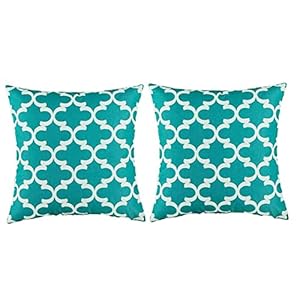 Kussenhoezen 45 x 45 Flax kussensloop kussensloop met onzichtbare rits kussenhoes sofa ademende dubbelzijdige print…