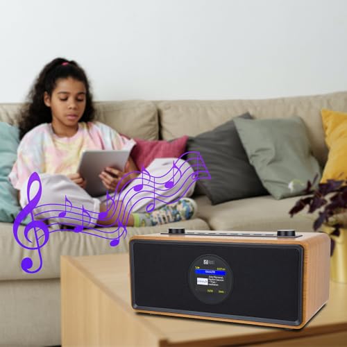 O Ocean Digital WR-860 Fm Wi-Fi Internet Radio thumb #7