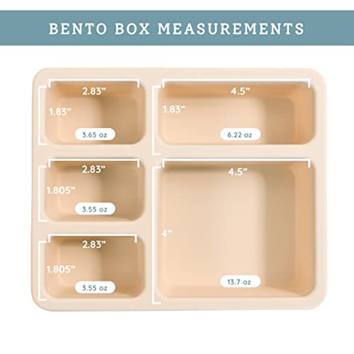 Austin Baby Co Leak-Proof Bento Lunch Box For Kids – Silicone Kids Lunch Container With 5 Leakproof Compartments – Food-Safe Materials, Sturdy, Dishwasher Safe, And Bpa Free #TOP4