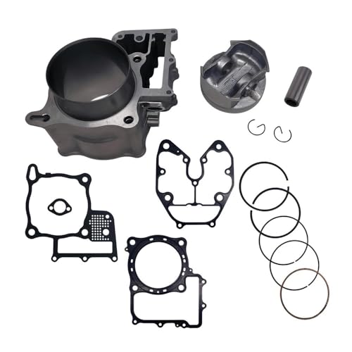 Cylindre de reconstruction 102 mm pour moteur de TRX680FA