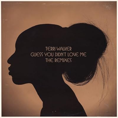 Guess You Didn't Love Me (The Remixes)-12"