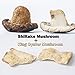 VIGOROUS MOUNTAINS Dried Woodear Mushrooms for Cooking and Mushroom Chips Veggie Snacks