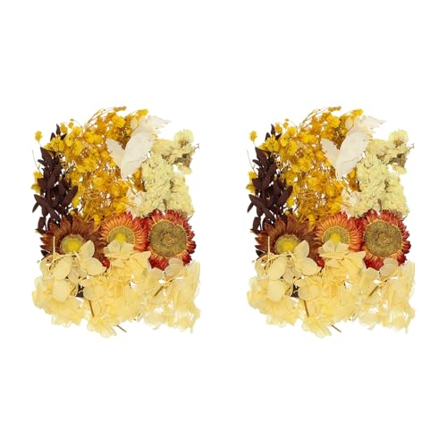 2 sets de flores secas naturales para manualidades
