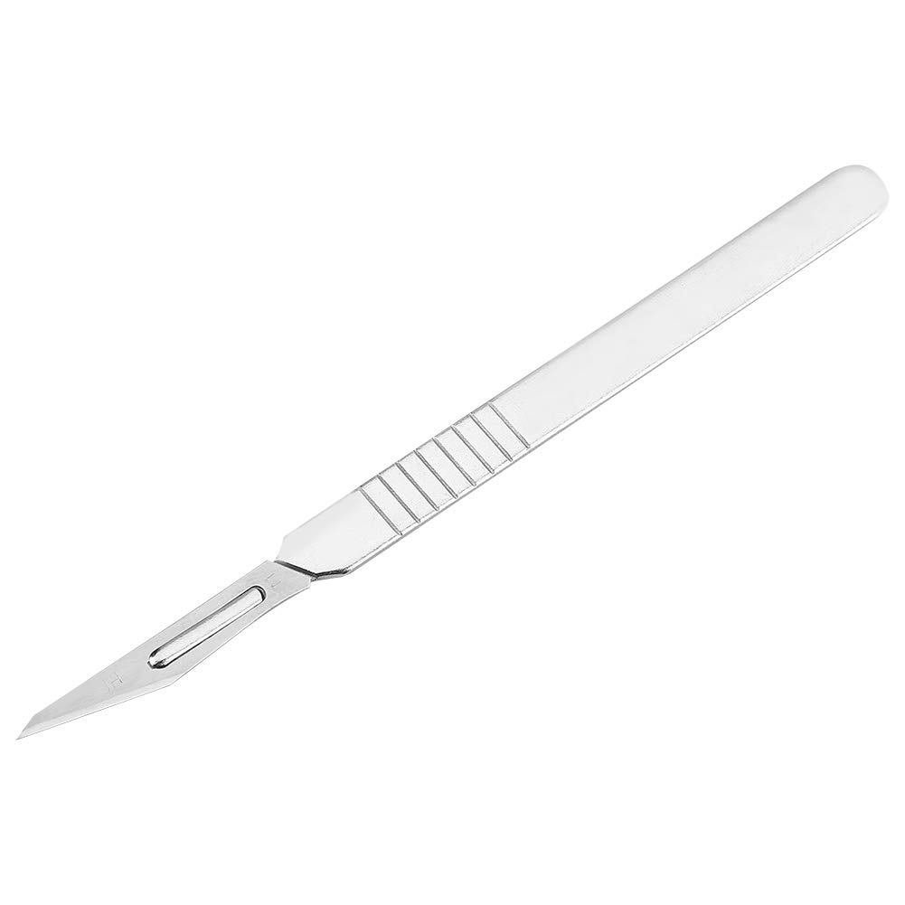 7 Pièces Kit de Dissection Ensemble de Dissection de Laboratoire en Acier Inoxydable Outils de Dissection de Laboratoire D'étudiant en Biologie