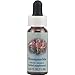 Flower Essence Services Supplement Dropper, Honeysuckle, 0.25 Ounce