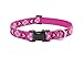 LupinePet 1-Inch Puppy Love 16-28-Inch Adjustable Dog Collar for Large Dogs