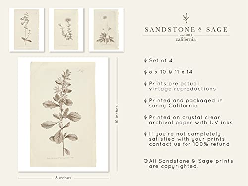 Wall-Art-Botanical-Plant-Prints-Vintage-Flower-Boho-Minimalist-Floral-Artwork-Decor-for-Bedroom-Living-Room-Bathroom-Home-or-Office-Walls-Botanical-Study-Prints-Set-of-4-UNFRAMED-Pictures-8-x-10