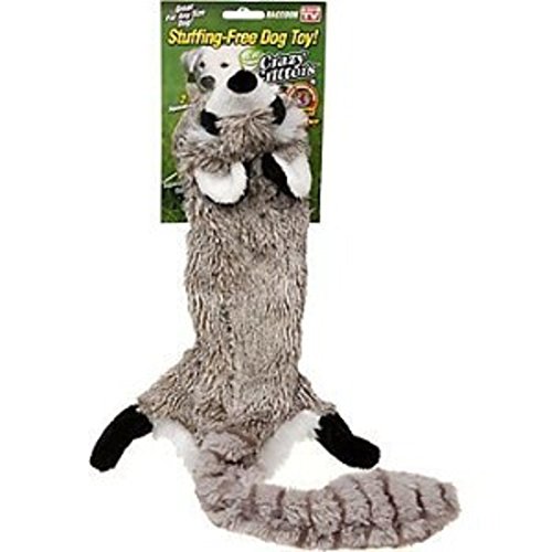 Crazy Critters Stuffing Free Dog Toy- Raccoon
