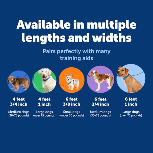 PetSafe Nylon Dog Leash, Royal Blue, 3/4 in x 6 ft - image 5