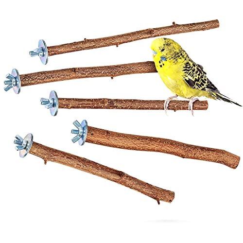 5 Perchas Madera pájaros, Palos para Jaula - Accesorios Jaula paj...