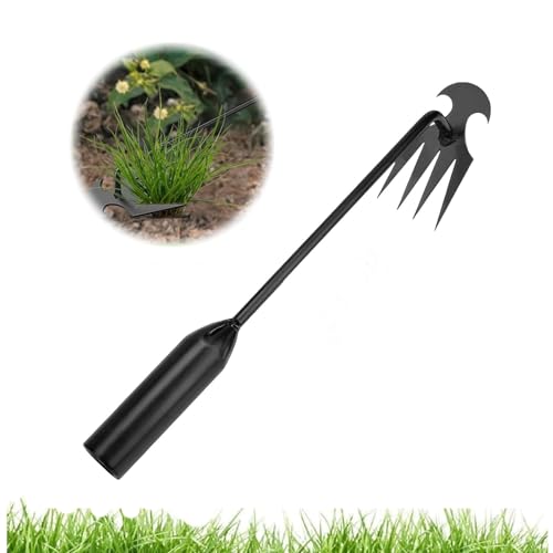 Fainca 30 CM Extractor Malas Hierbas, con Garra de 4 Dientes Extractor de Malas Hierbas, Quita Malas Hierbas Manual, Herramientas Desmalezadora Acero Inoxidable, para Desmalezar Césped y Jardín