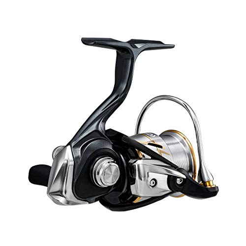 【かとうさん】DAIWA 20 LUVIAS FC LT 2000S Daiwa 20 Luvias FC LT 2000S Fishing Spinning Reel | eBay