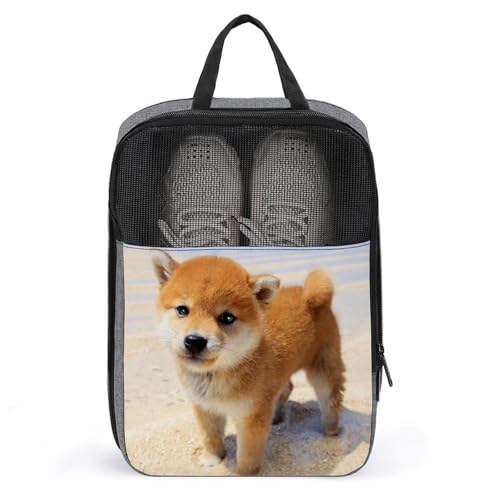 V[YobO Č 킢  C  V[Y jp C C V[YP[X   hhL hho y gѕ֗ o s AEghA